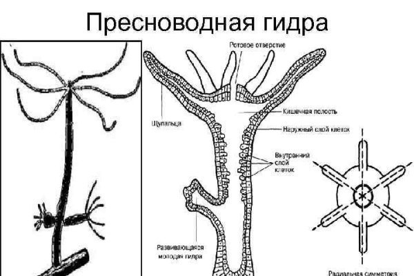 Кракен рабочая ссылка 2024